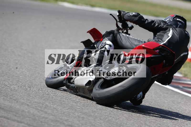 /46 11.08.2025 PADDYS-RACES-DAYS ADR/Sport-Profi/5